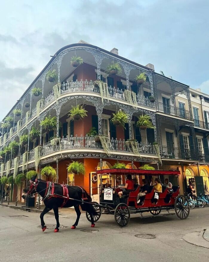 Awesome Vintage Houses In New Orlean (24 pics)