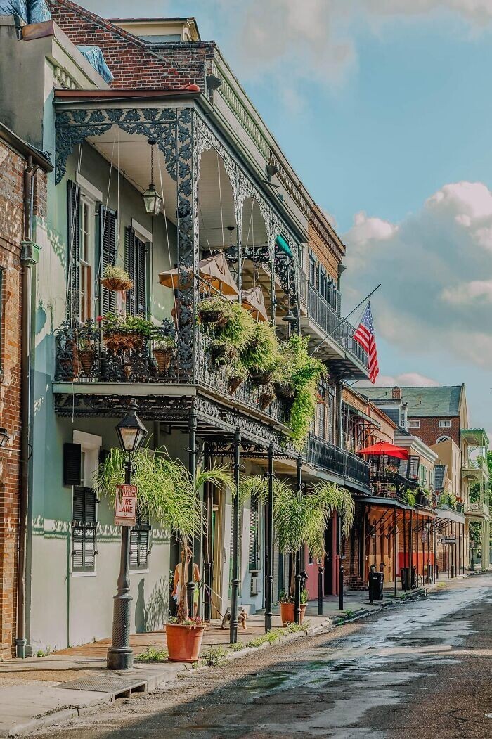 Awesome Vintage Houses In New Orlean (24 pics)