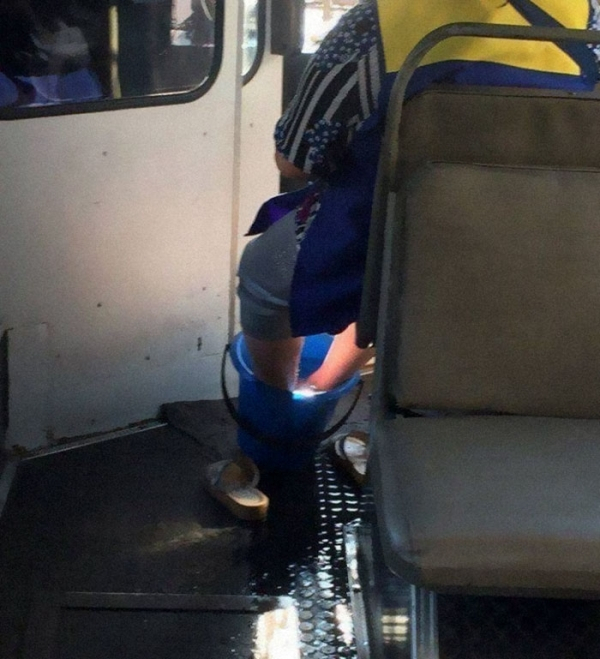 Odd Passengers (20 pics)