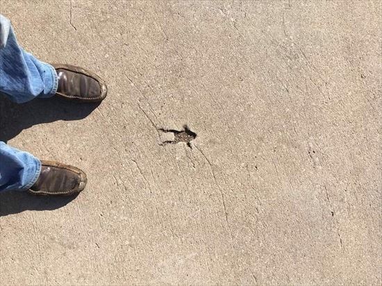 Construction Fails (22 pics)