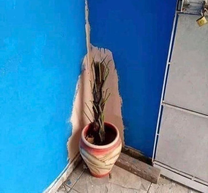 Construction Fails (22 pics)