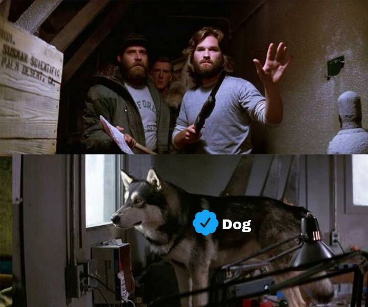 Daily Pictures. Part 2 (63 pics)