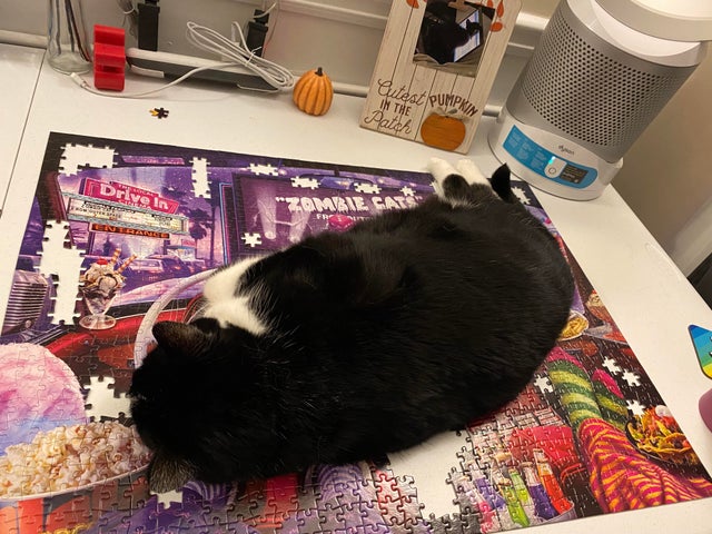 Cats And Puzzles (22 pics)