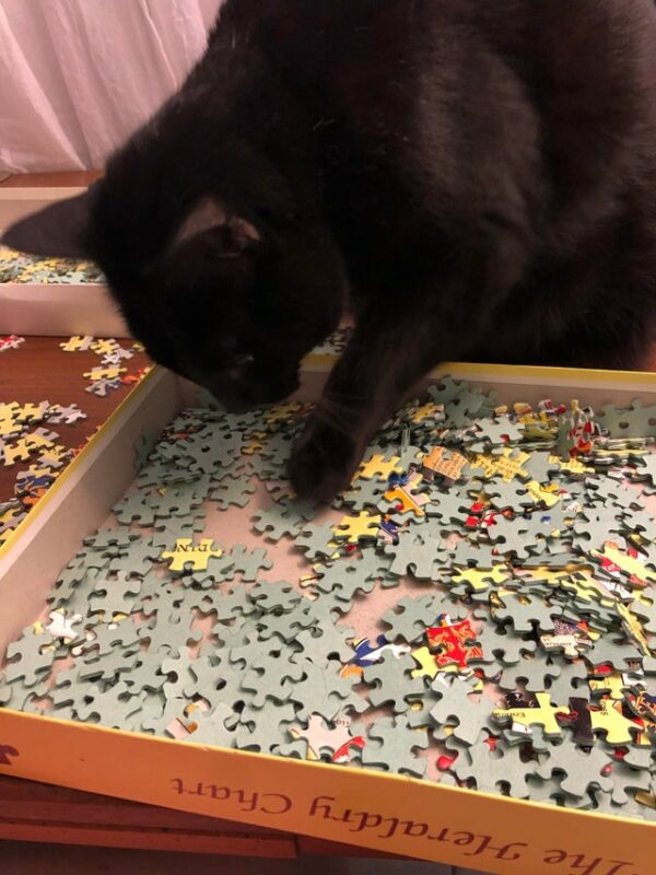 Cats And Puzzles (22 pics)