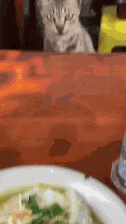 Acid GIFs, November 18 (25 gifs)