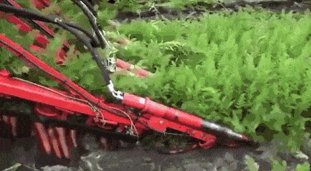 Acid GIFs, November 18 (25 gifs)