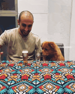Acid GIFs, November 18 (25 gifs)