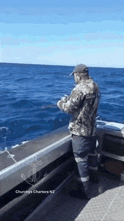 Acid GIFs, November 18 (25 gifs)