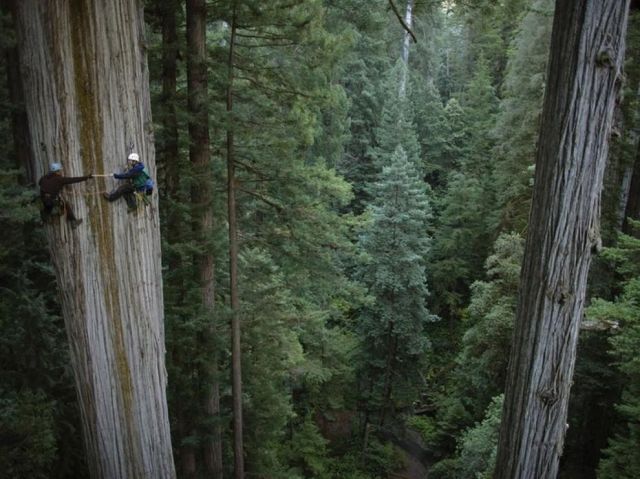 Breathtaking Photos (24 pics)