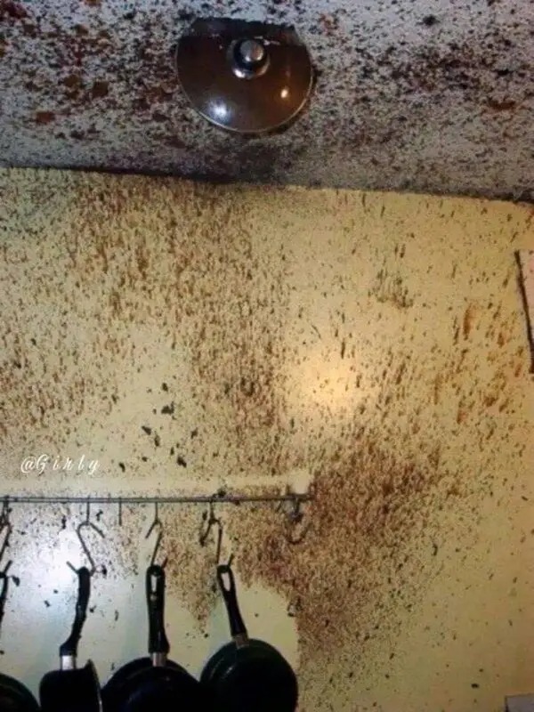 Fails At The Kitchen (21 pics)