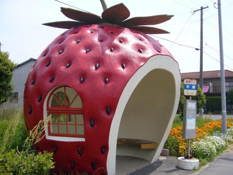 Unusual Bus Stops (29 pics)