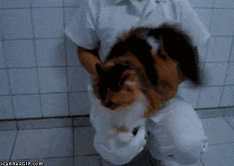 FUNNY GIFS AND MORE 1669033494_14
