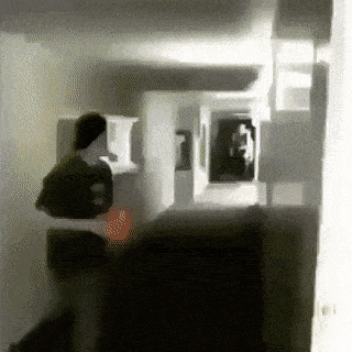 FUNNY GIFS AND MORE 1669033537_8
