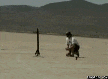 FUNNY GIFS AND MORE 1669033563_18
