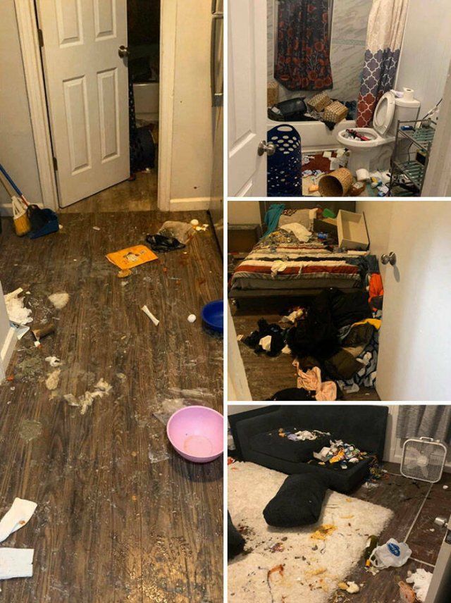 Terrible Roommates (47 pics)
