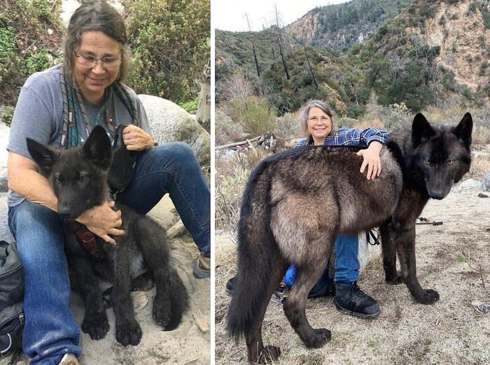 Huge Things (27 pics)