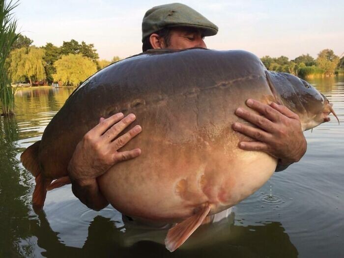 Huge Things (27 pics)