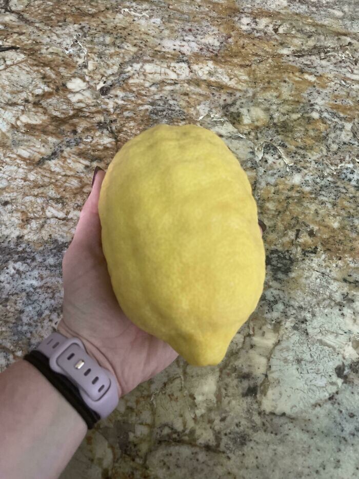Huge Things (27 pics)