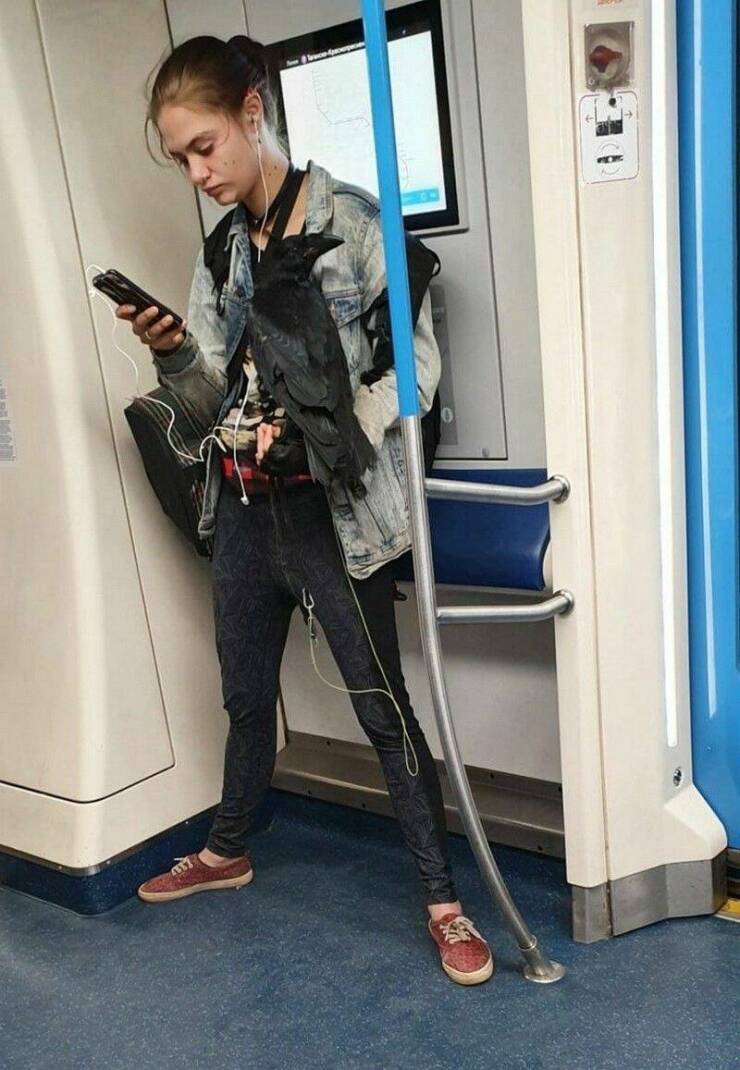 Daily Pictures. Part 1 (67 pics)