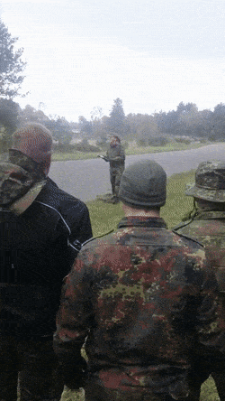Acid GIFs, November 24 (25 gifs)
