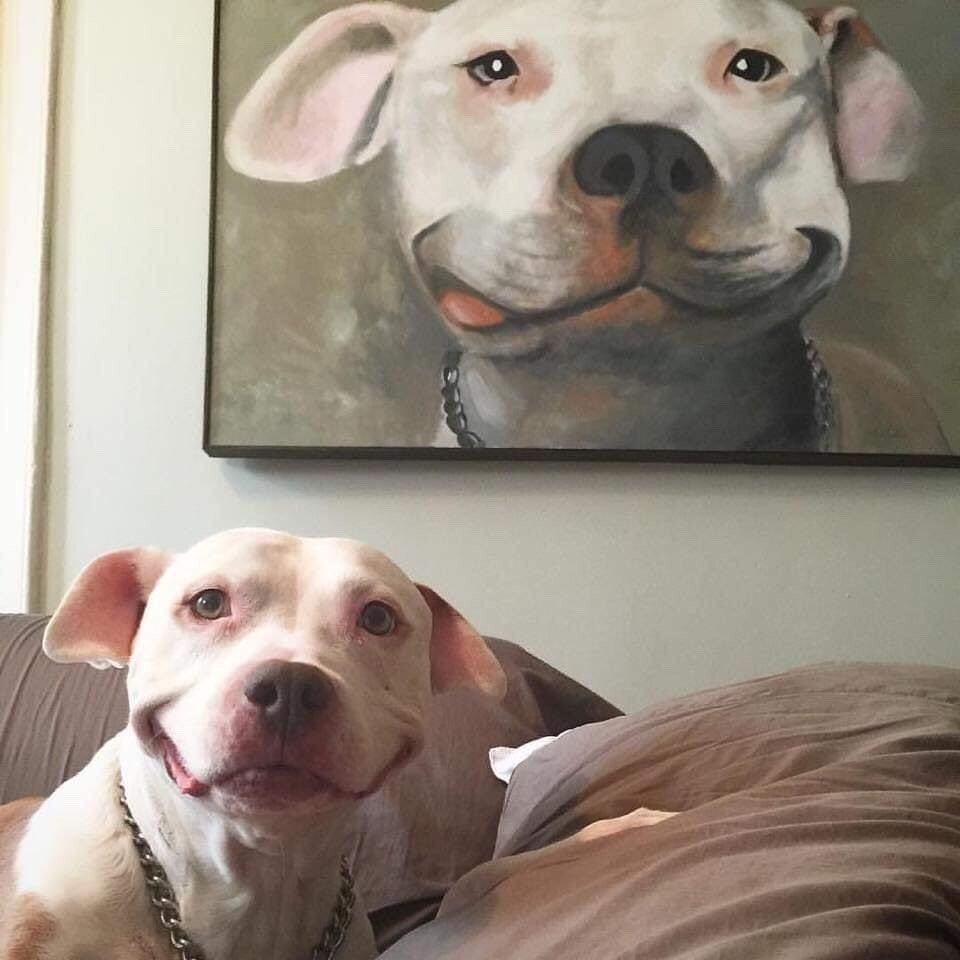 Cute Dogs (21 pics)