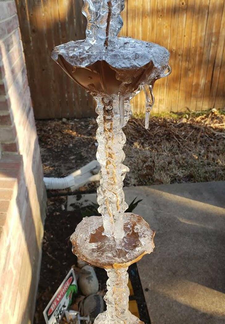 Surprises Of Nature (23 pics)