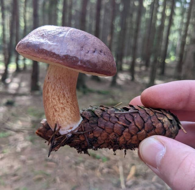 Surprises Of Nature (23 pics)