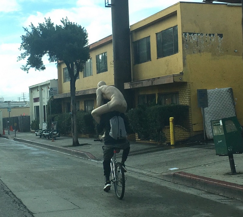 What Is Going On Here? (20 pics)