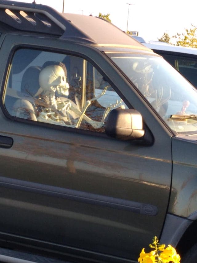Interesting Finds (21 pics)