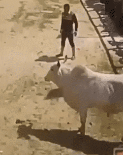 Acid GIFs, November 28 (25 gifs)