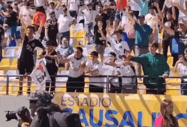Acid GIFs, November 28 (25 gifs)