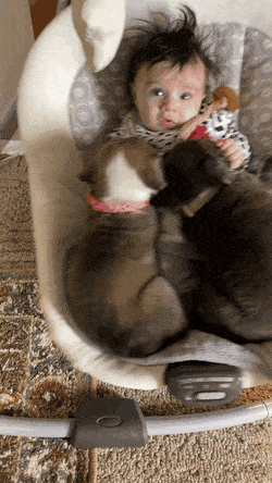 Acid GIFs, November 28 (25 gifs)