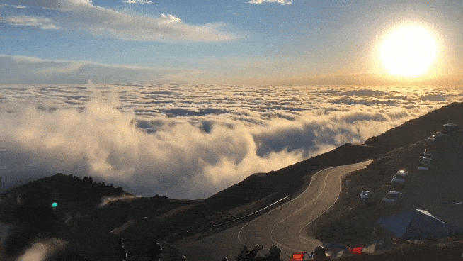 Acid GIFs, November 28 (25 gifs)