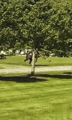 Acid GIFs, November 28 (25 gifs)