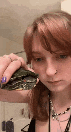 Acid GIFs, November 28 (25 gifs)