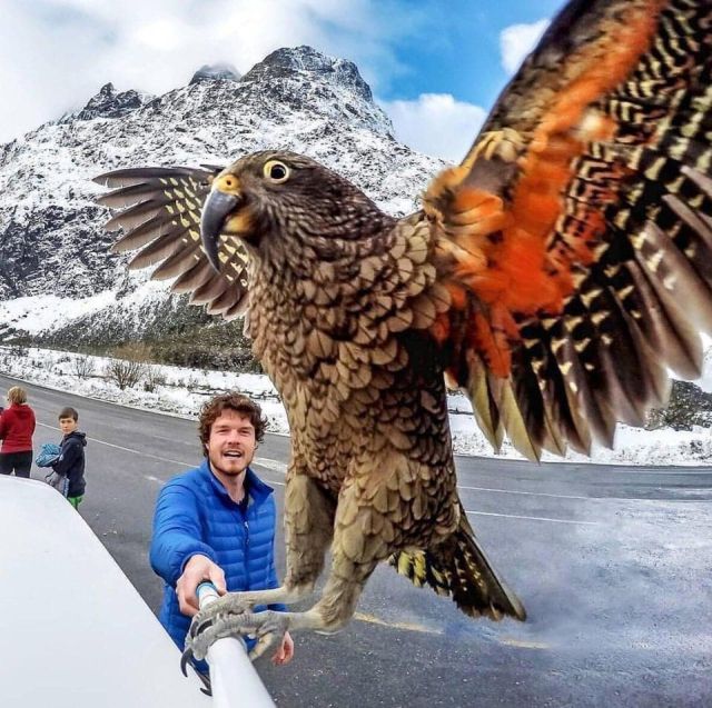 Funny Selfies (14 pics)