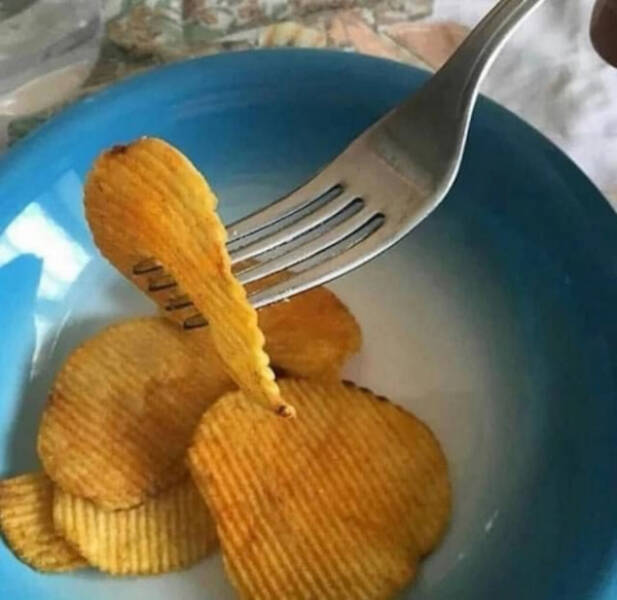 What Is Going On Here? (20 pics)