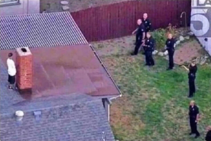 What Is Going On Here? (20 pics)