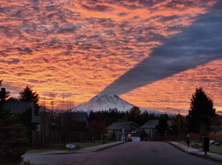 Daily Pictures. Part 1 (69 pics)