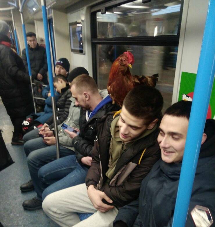 Daily Pictures. Part 1 (63 pics)