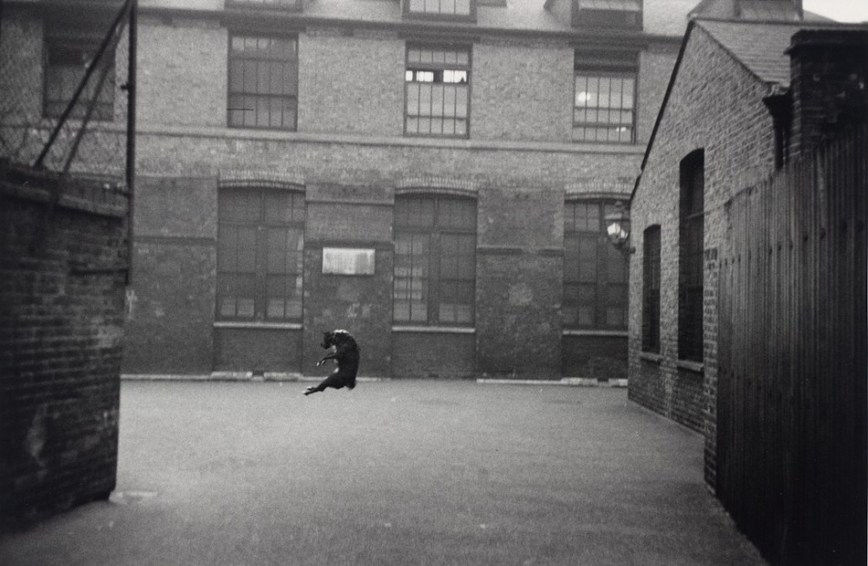 Right Moment: Photos From The Past (11 pics)