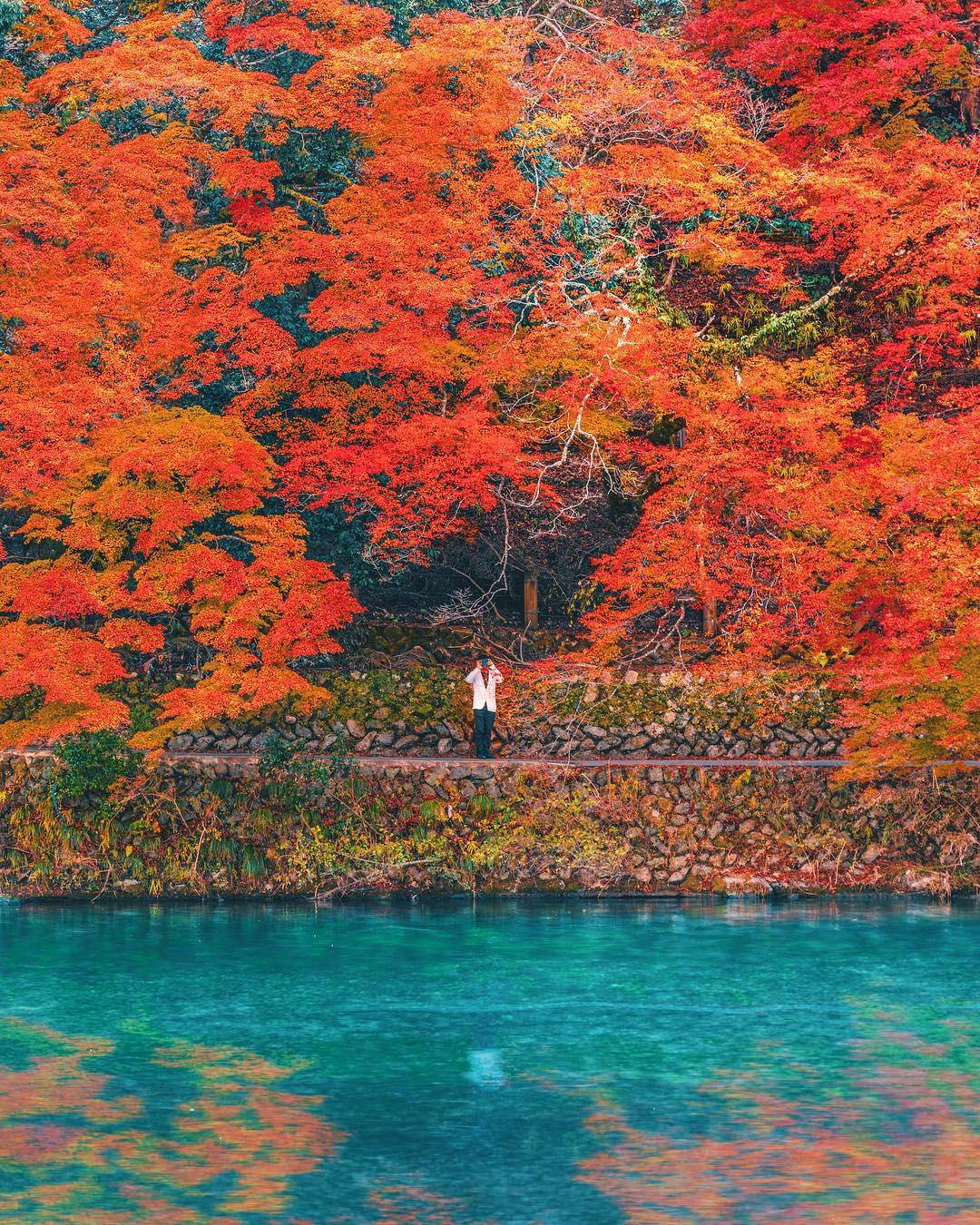 Amazing Photos From Japan (27 pics)