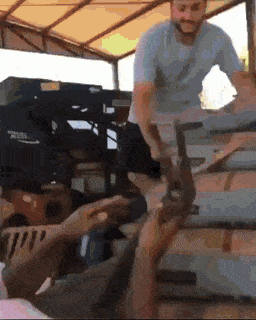 Acid GIFs, December 6 (25 gifs)