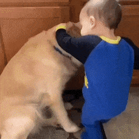 Acid GIFs, December 6 (25 gifs)