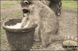 Acid GIFs, December 6 (25 gifs)