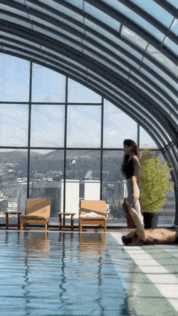 Acid GIFs, December 6 (25 gifs)