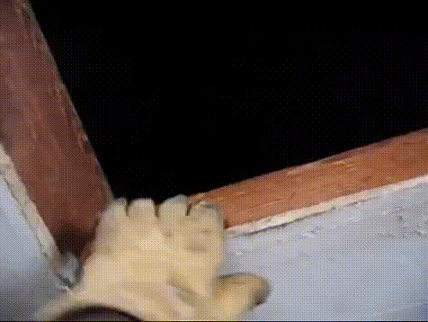 Acid GIFs, December 7 (25 gifs)