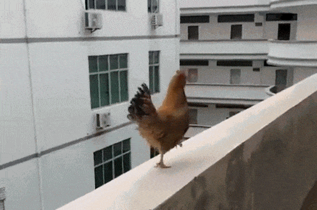 Acid GIFs, December 7 (25 gifs)