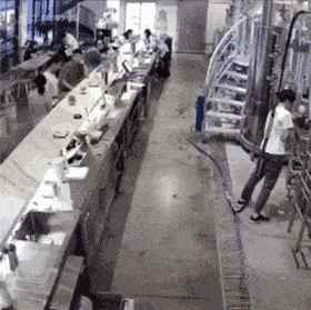Acid GIFs, December 7 (25 gifs)