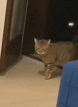 Acid GIFs, December 7 (25 gifs)